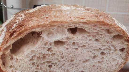 Pain de Campagne av Peter Reinhart (ovn)