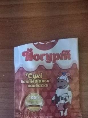 Jogurts termosā