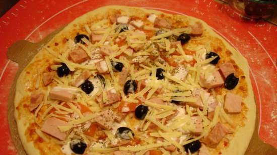 lò nướng bánh pizza