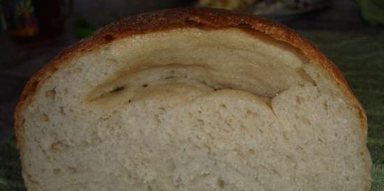 Pain de Campagne av Peter Reinhart (ovn)