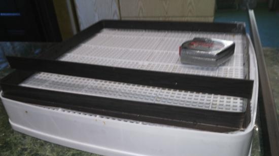 Belevskaya marshmallow i Lequip D5 Eco dehydrator