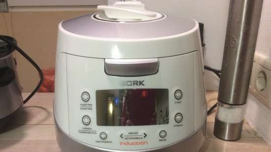 Multicooker בורק U701