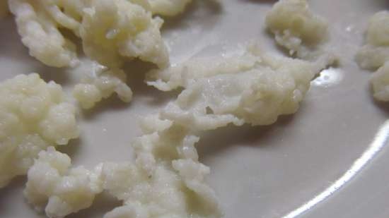 Tibetansk kefir sopp