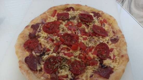 Pizza beslutningstakere Princess 115000, Travola SW302T, Fagor MG-300