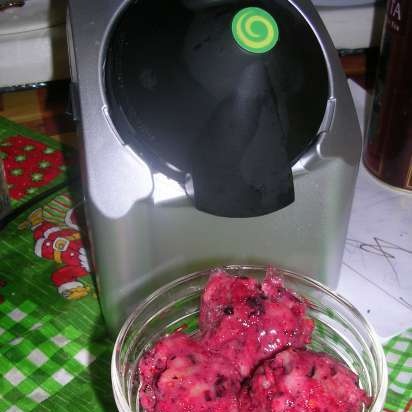 יצרנית גלידה Yonanas Maker Treat Maker