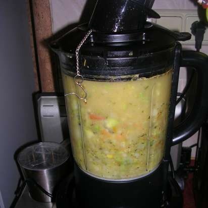 Fiskesuppe med grønnsaker og kjøttboller (Profi Cook Multi-blender PC-MCM1024)