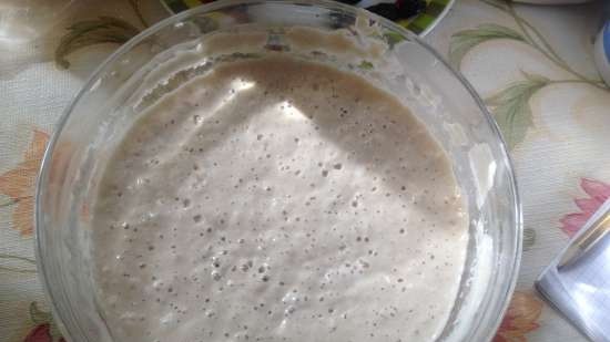 Risin Sourdough brokastu maize (Steba DD1)