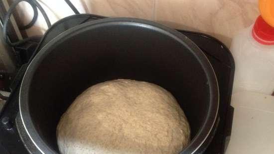 Risin Sourdough brokastu maize (Steba DD1)