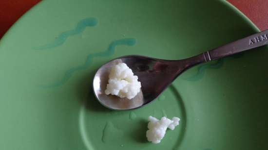 Tibetansk kefir sopp