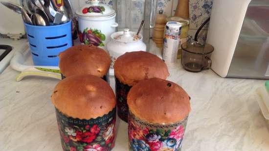 Kulich ar Myasoedovskaya krāsnī (meistarklase)