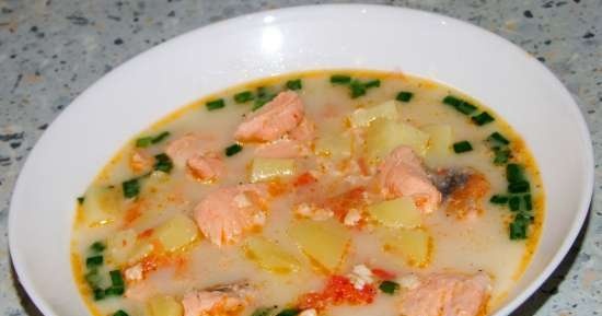 Salmon soup in a slow cooker