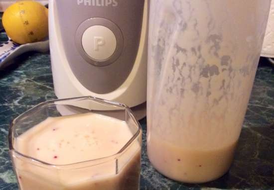 Mini blender Philips Blend & Go HR2874 (2872, 2875)