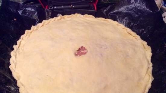 Meat and Cabbage Pie (Princess Pizza Maker)