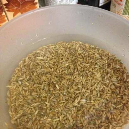 Grain bread in a bread maker