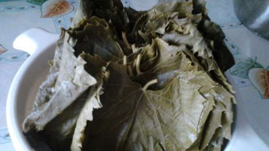 Dolma