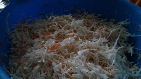 Sauerkraut Kinh điển của thể loại này