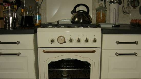 Choosing a gas stove