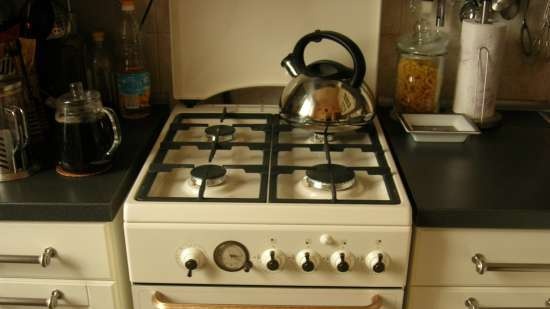 Choosing a gas stove