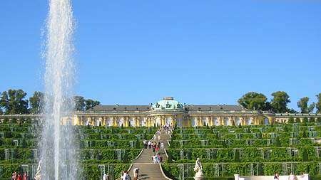 Sanssouci torte tysk kaffe (ingen bakevarer)