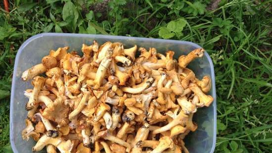 Pie với chanterelles và khoai tây