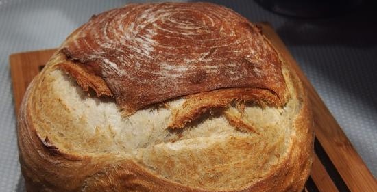 Italian sourdough (Levito madre) - cultivation and care