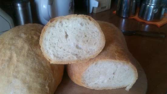 Ciabatta by Peter Reinhart (on pulish)