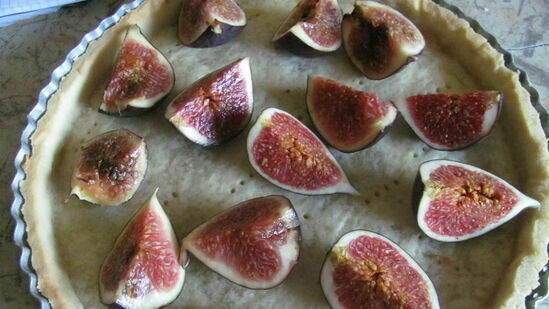 Fig terte