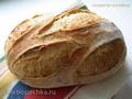 לחם מחמצת משותף (Pane Comune con Lievito Madre)