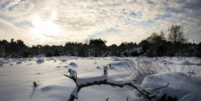 Fordelene og prinsippene med herding