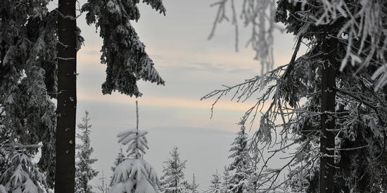 Ziemas baltā grāmata