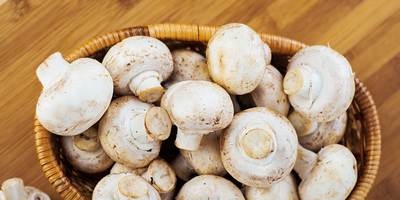 Hvordan lage champignons riktig