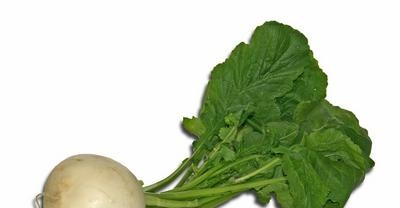 Turnips