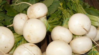 Turnips