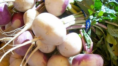 Turnips