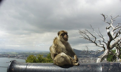 Gibraltar