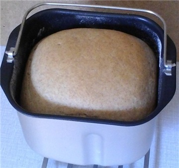 Bread maker Delta dl-8007b