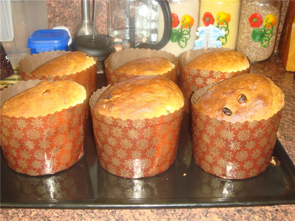 Kulich ar Myasoedovskaya krāsnī (meistarklase)