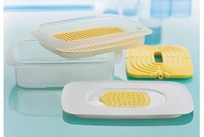 Đĩa nhựa Tupperware - đánh giá