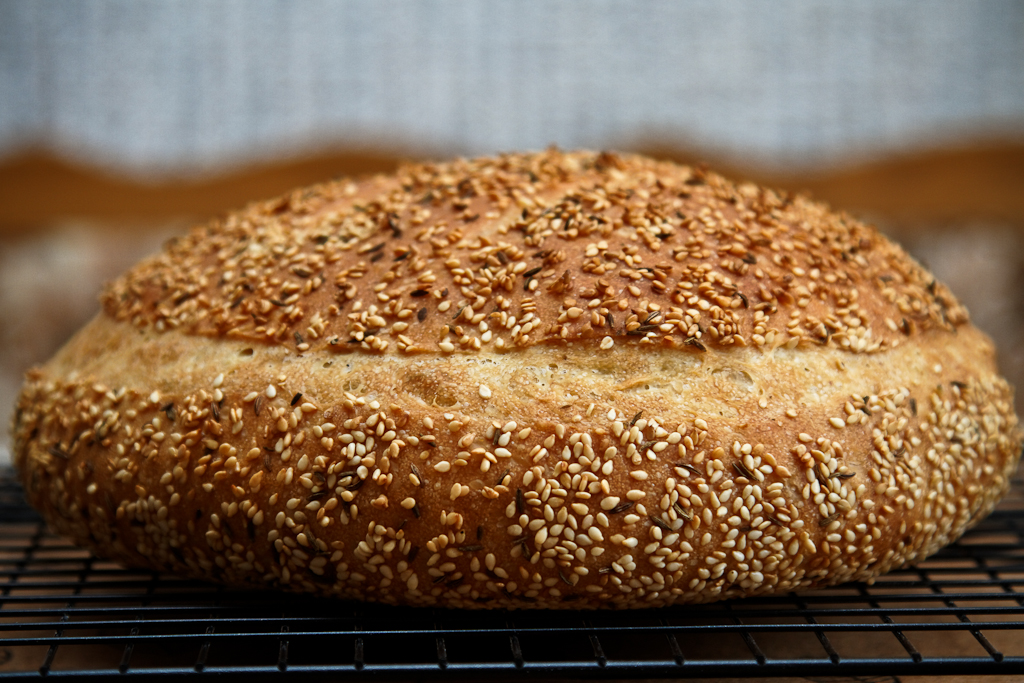 Koulouri, grieķu lauku maize (Koulouri) krāsnī