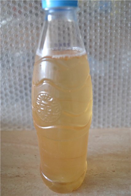 Kombucha dzēriens