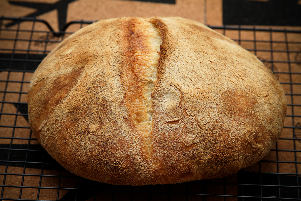 Maize Altamuro (Pane di Altamuro) krāsnī