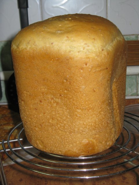 Sally Lunn maize (maizes ražotājs)