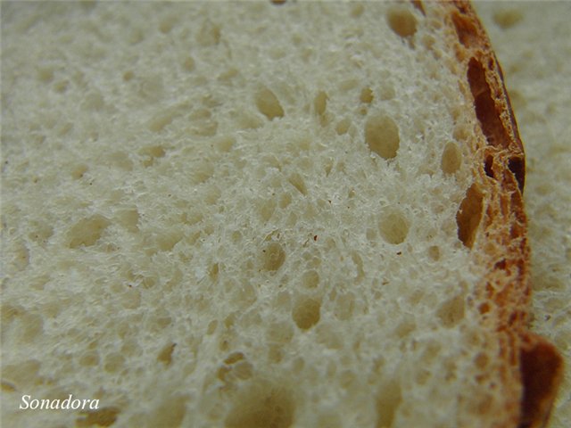 Hvetebrød med honning og cottage cheese (brødmaker)