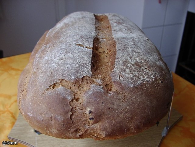 Wheat-rye bread bagel with onions (oven)