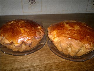 Kulich עם Myasoedovskaya בתנור (כיתת אמן)