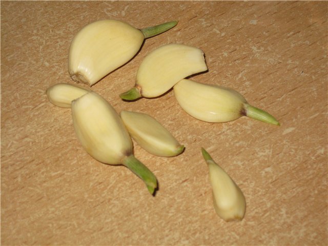 Pērtiķu maize (krāsns)