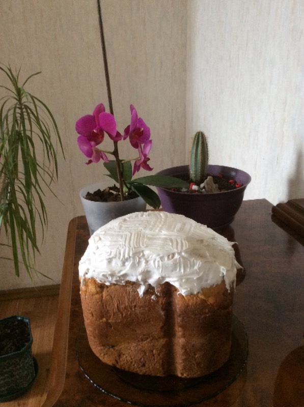 Kulich Royal bummer i en brødmaker