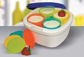 Đĩa nhựa Tupperware - đánh giá