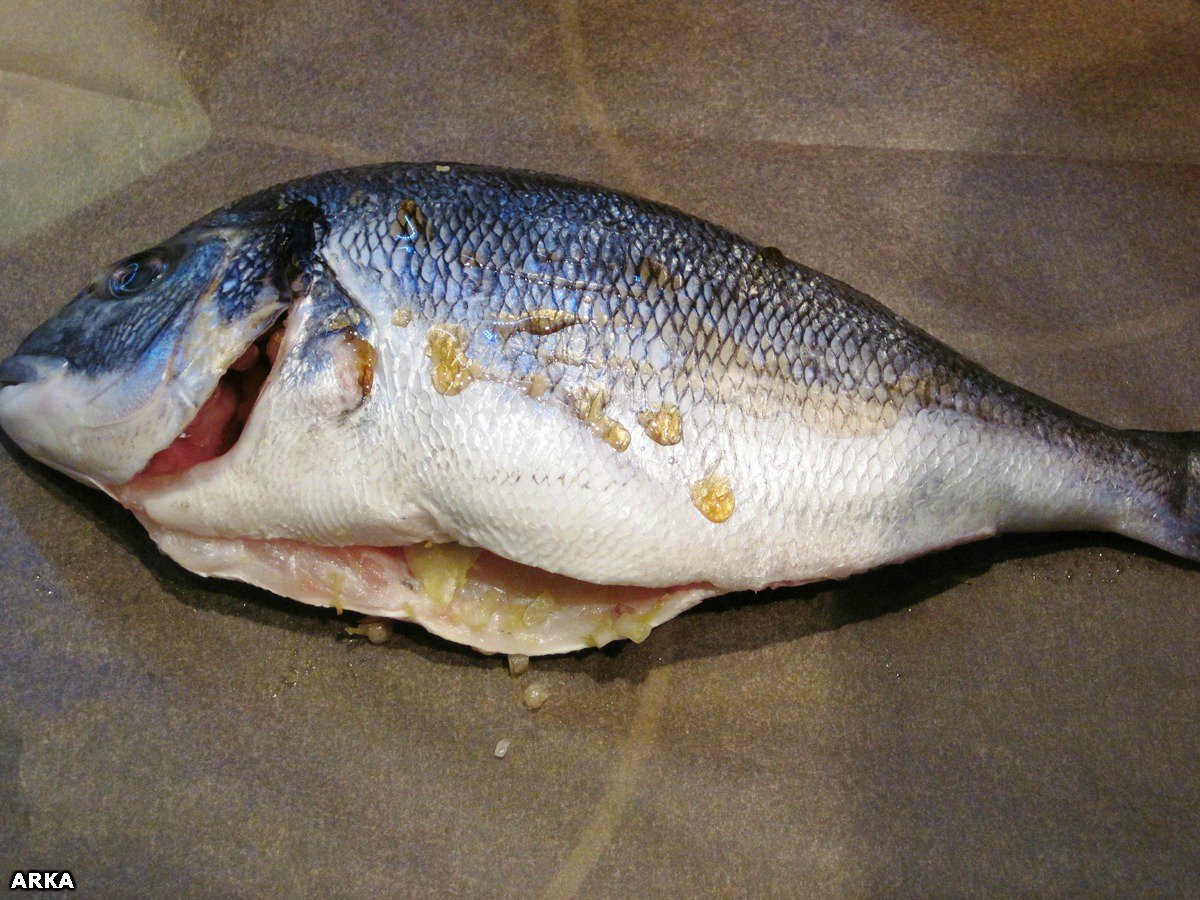 Cá (dorada) trong phong bì