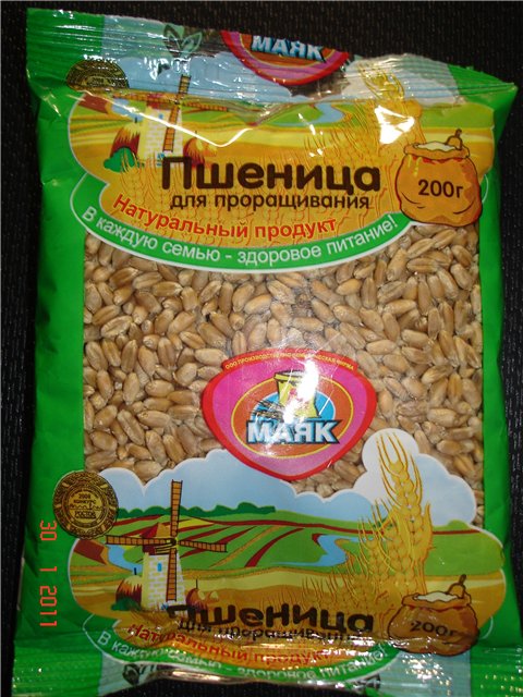 Pilngraudu soda maize (sūkļa metode)